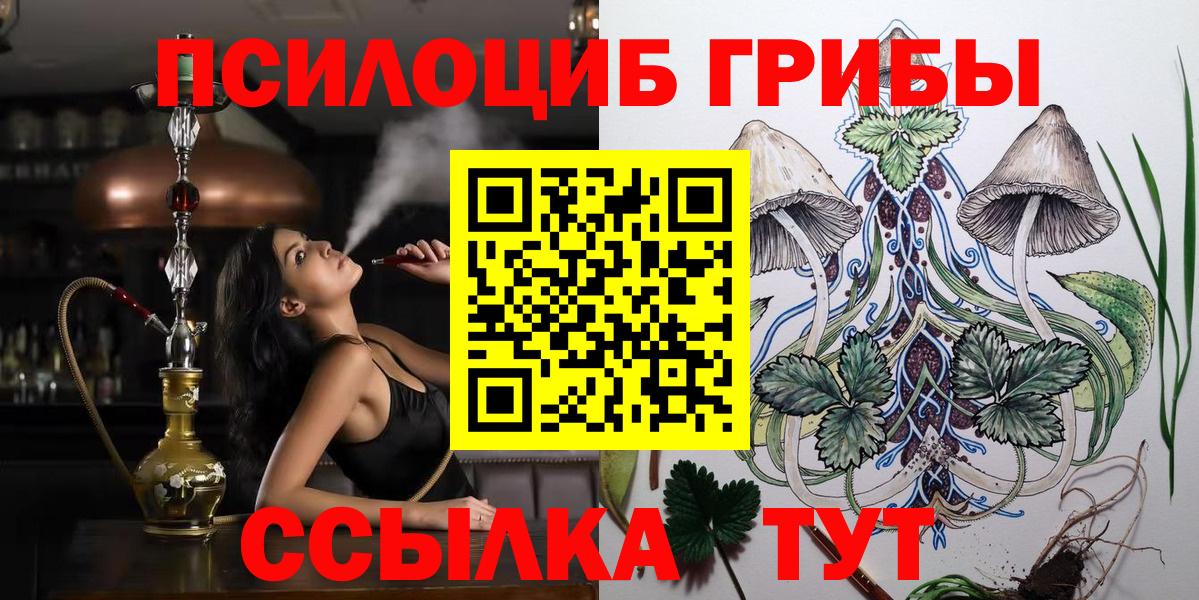 Галлюциногенные грибы Psilocybe Ханты-Мансийск